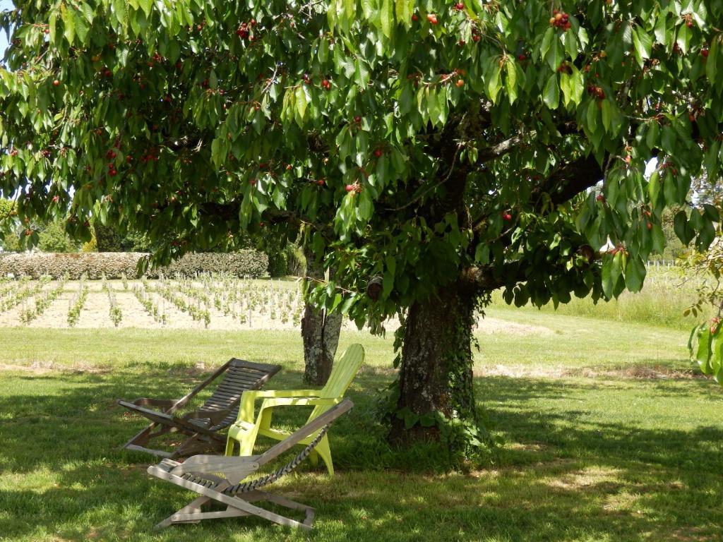 Chateau La Mothe Du Barry Moulon-sur-Dordogne Екстериор снимка