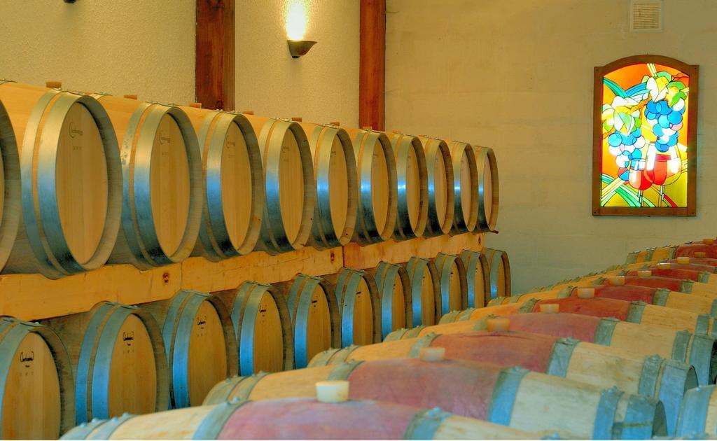 Chateau La Mothe Du Barry Moulon-sur-Dordogne Екстериор снимка